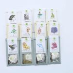 Hachichit Albe - Organic Tea Pack: Initiate | Discover | Expand - Image 13