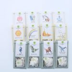 Hachichit Albe - Organic Tea Pack: Initiate | Discover | Expand - Image 2