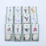 Hachichit Albe - Organic Tea Pack: Camellia Sinensis - Image 3