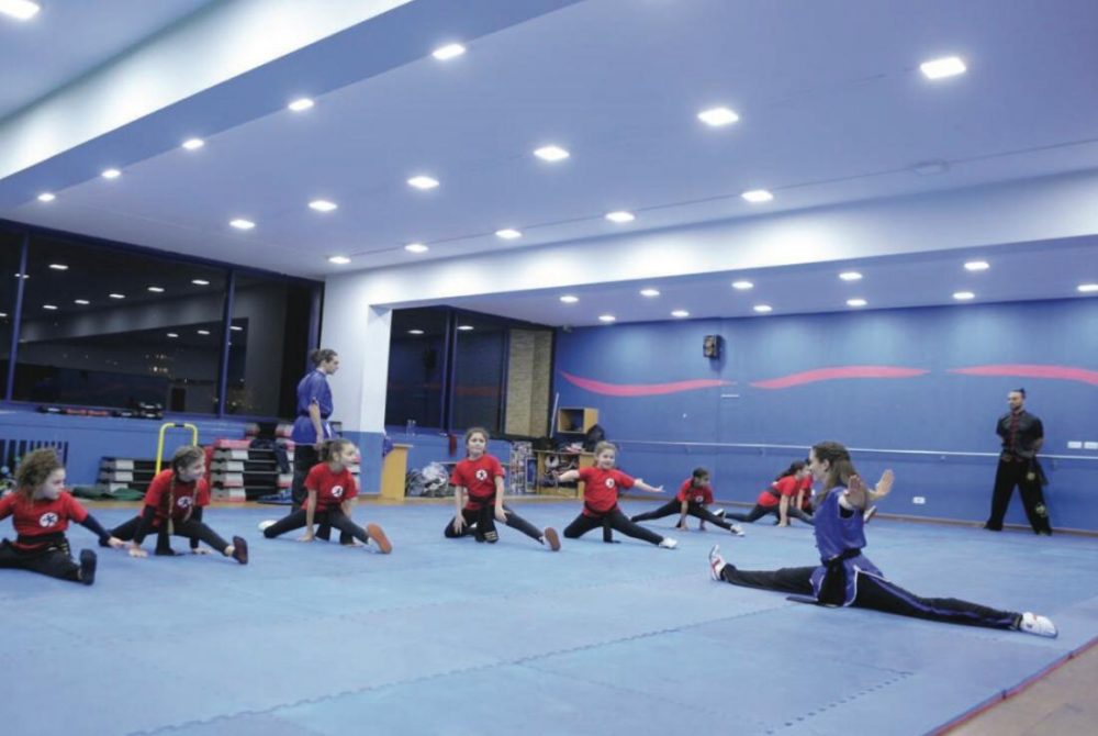 gymnastics & wushu Namat Beirut
